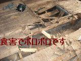 緊急白蟻工事